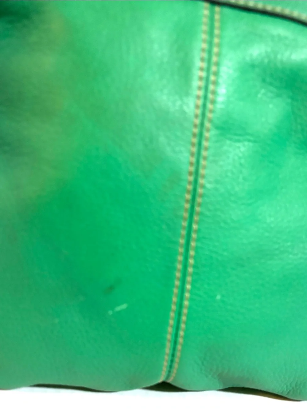 Francesco Biasia compact leather