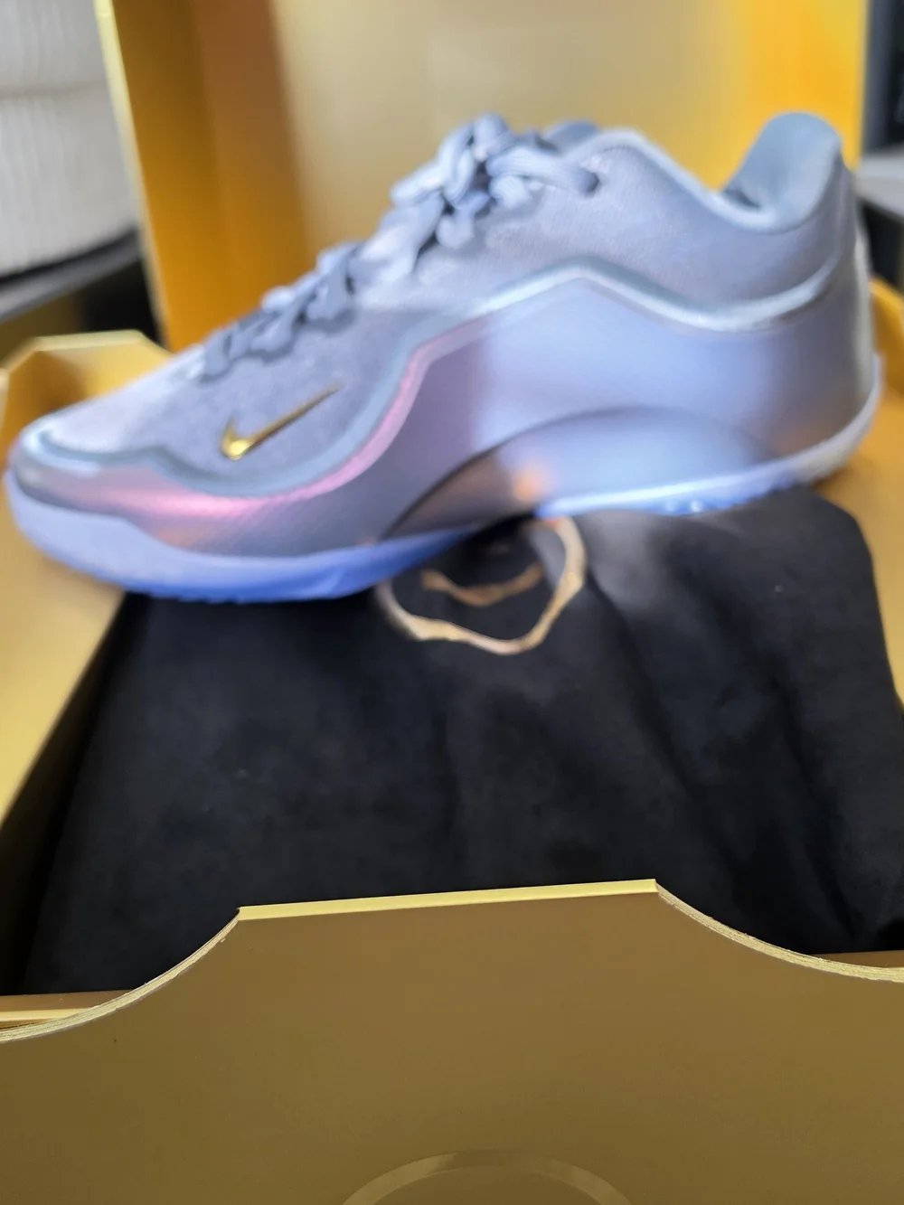 Nike lebron shut