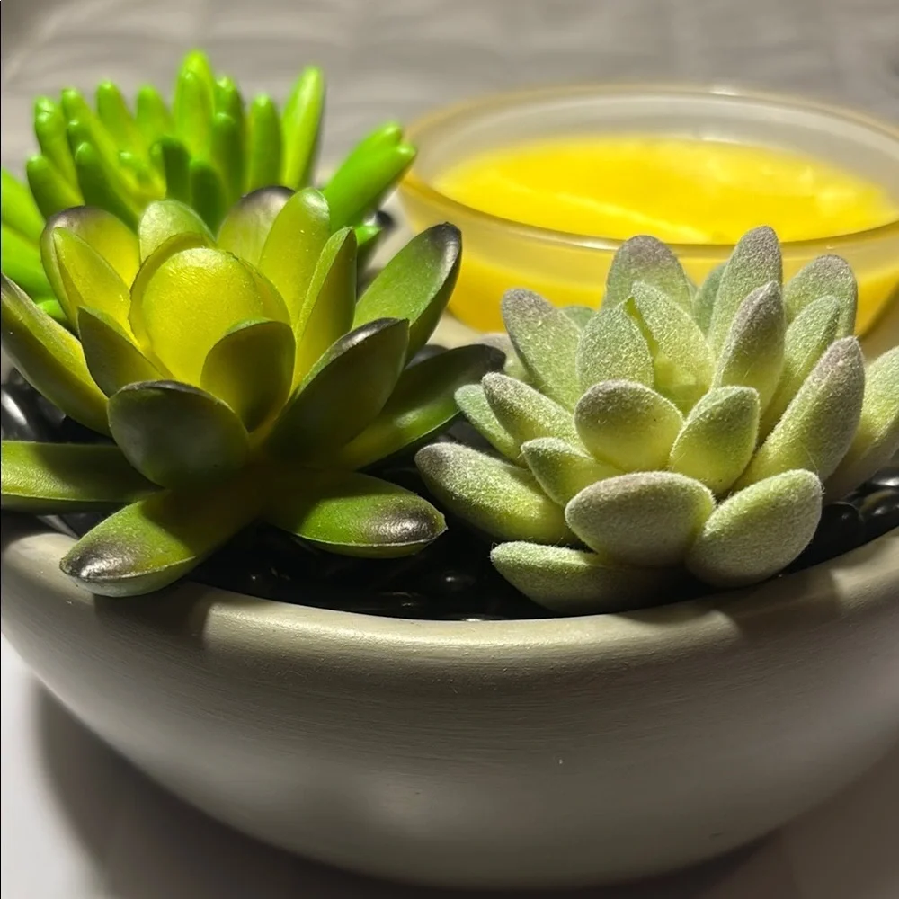 Scentsy material one garden