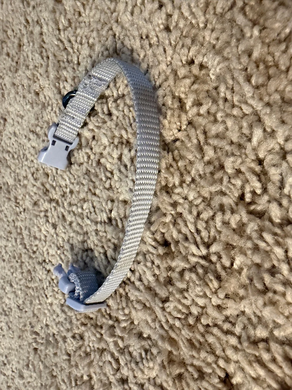 Boots & Barkley Light Gray Nylon Adjustable Dog Collar