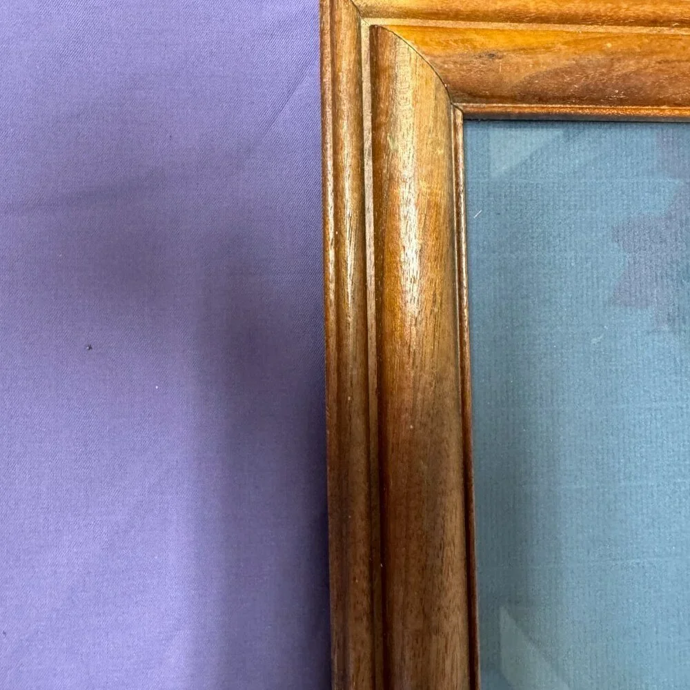 Vintage Wall Decor Wood Duck Real original feather Wooden Frame 18.5