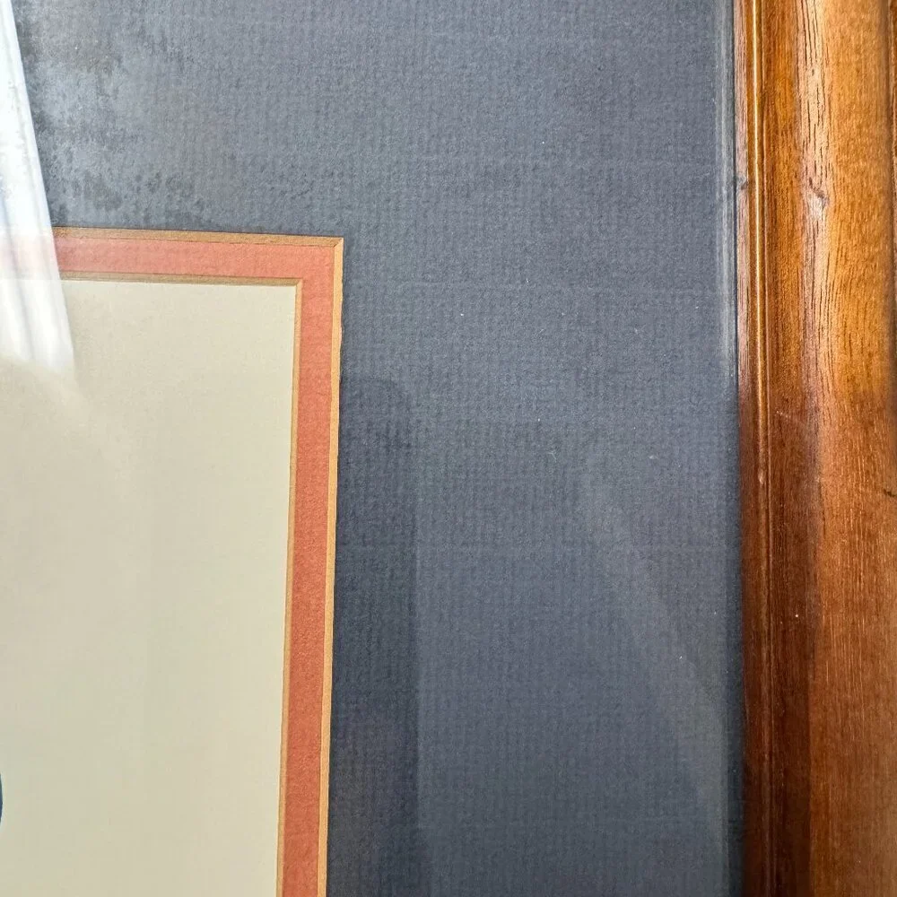 Vintage Wall Decor Wood Duck Real original feather Wooden Frame 18.5