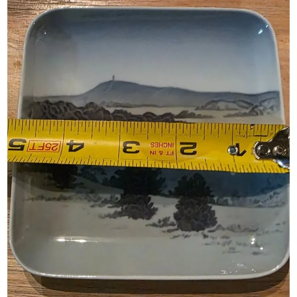 Royal Copenhagen these porcelain