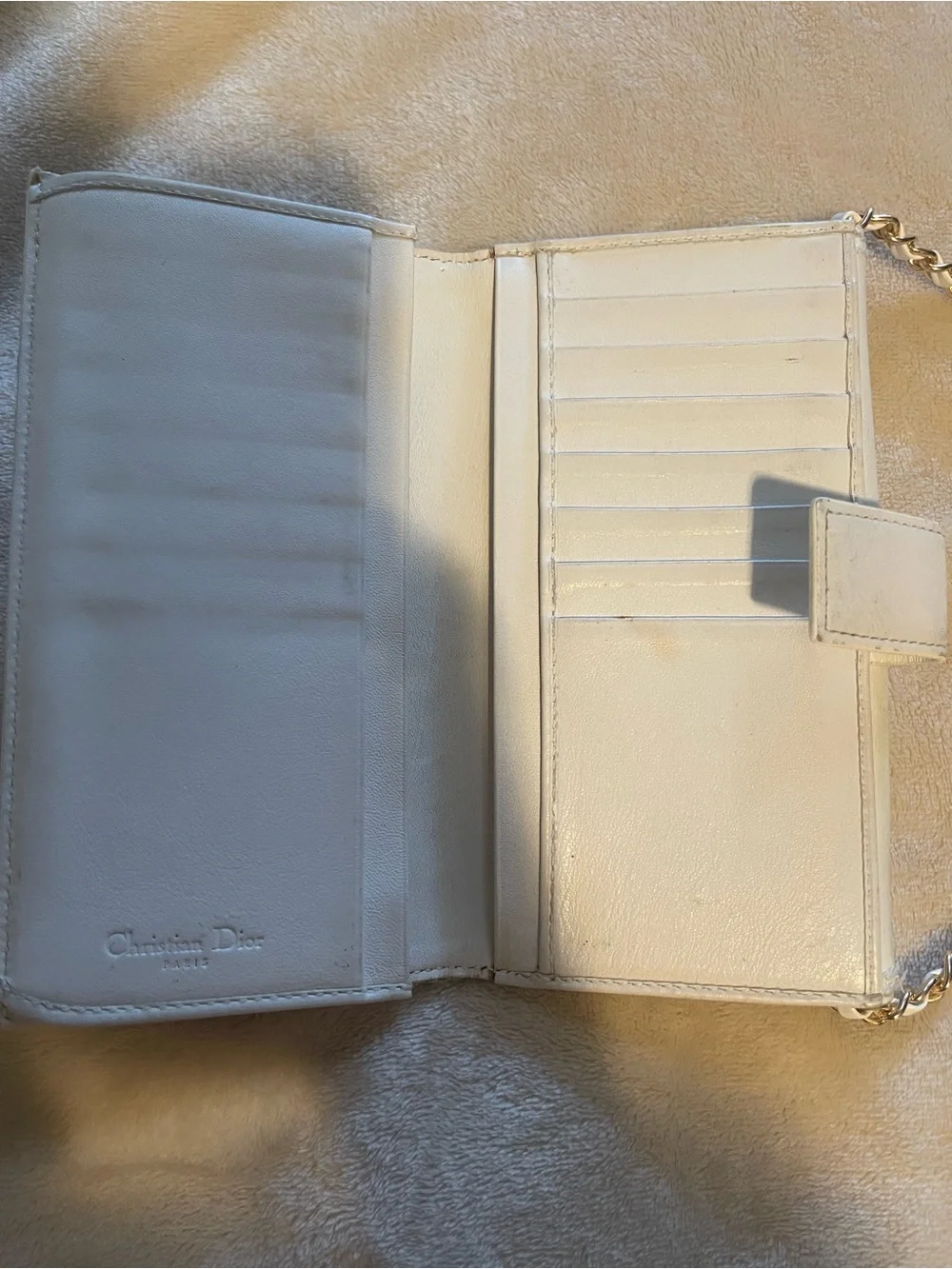 Dior authentic christian