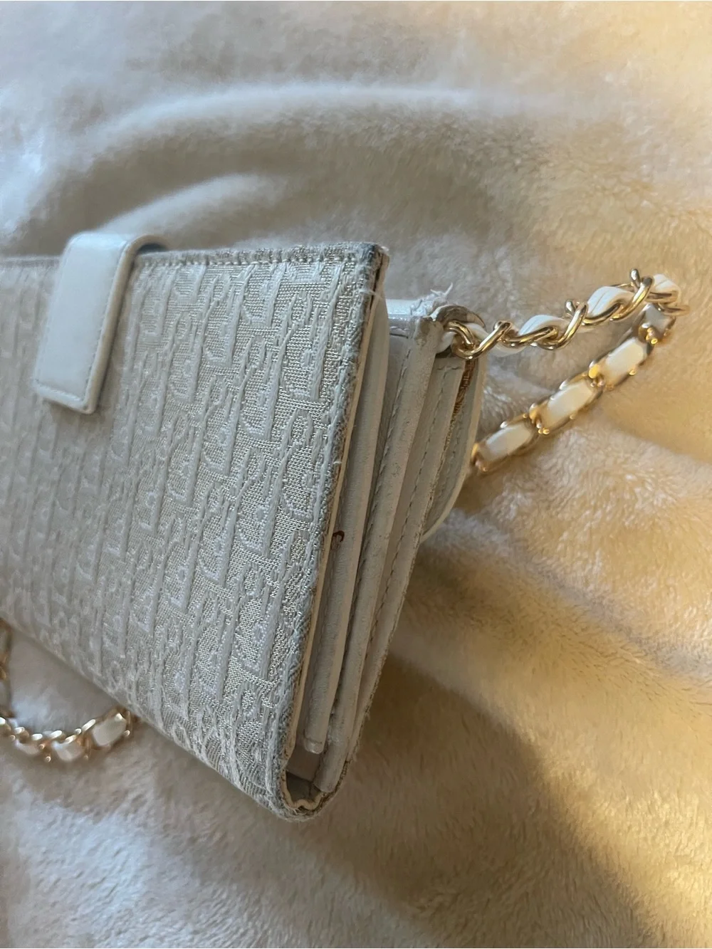 Dior authentic christian
