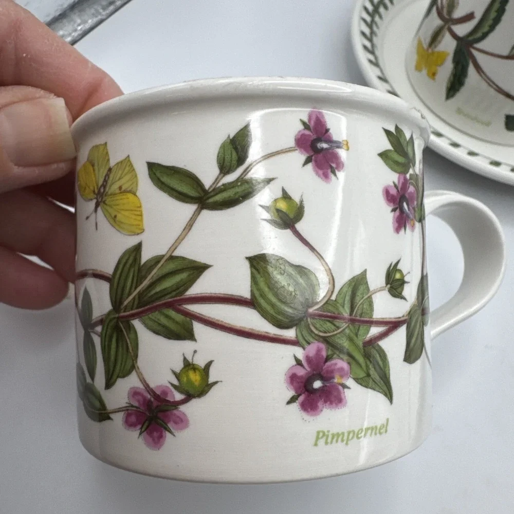 Portmerion Botanic Garden Drum Flat Coffee Cups & Saucers 2 Sets Tea Pimpernel +
