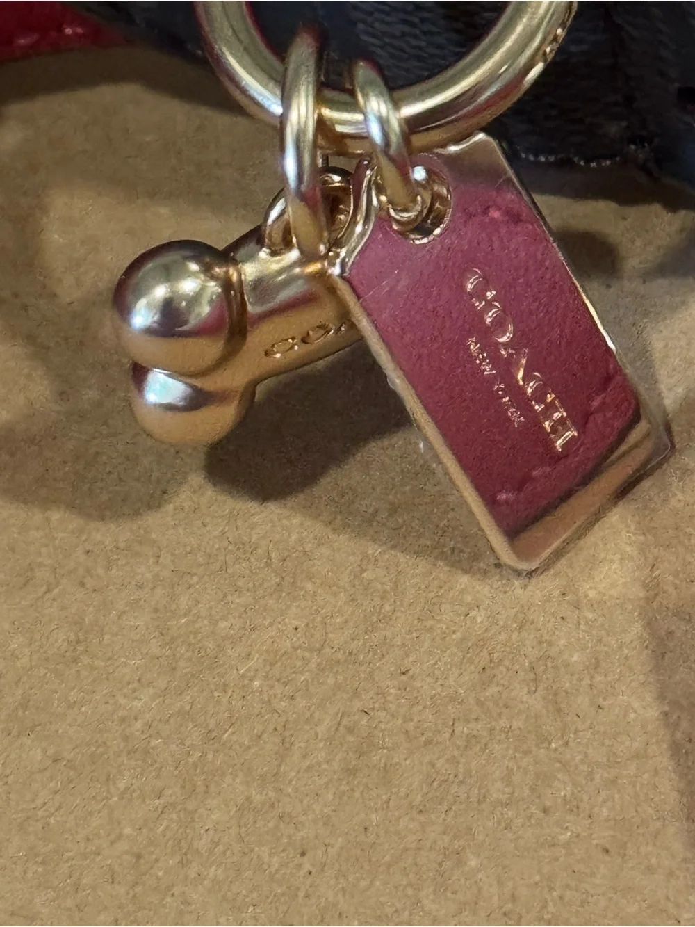 Coach leather dog