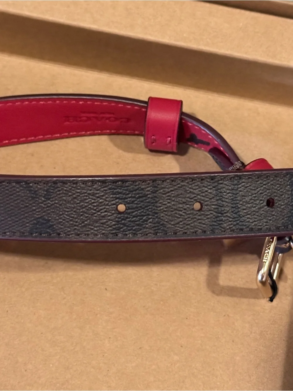 Coach leather dog
