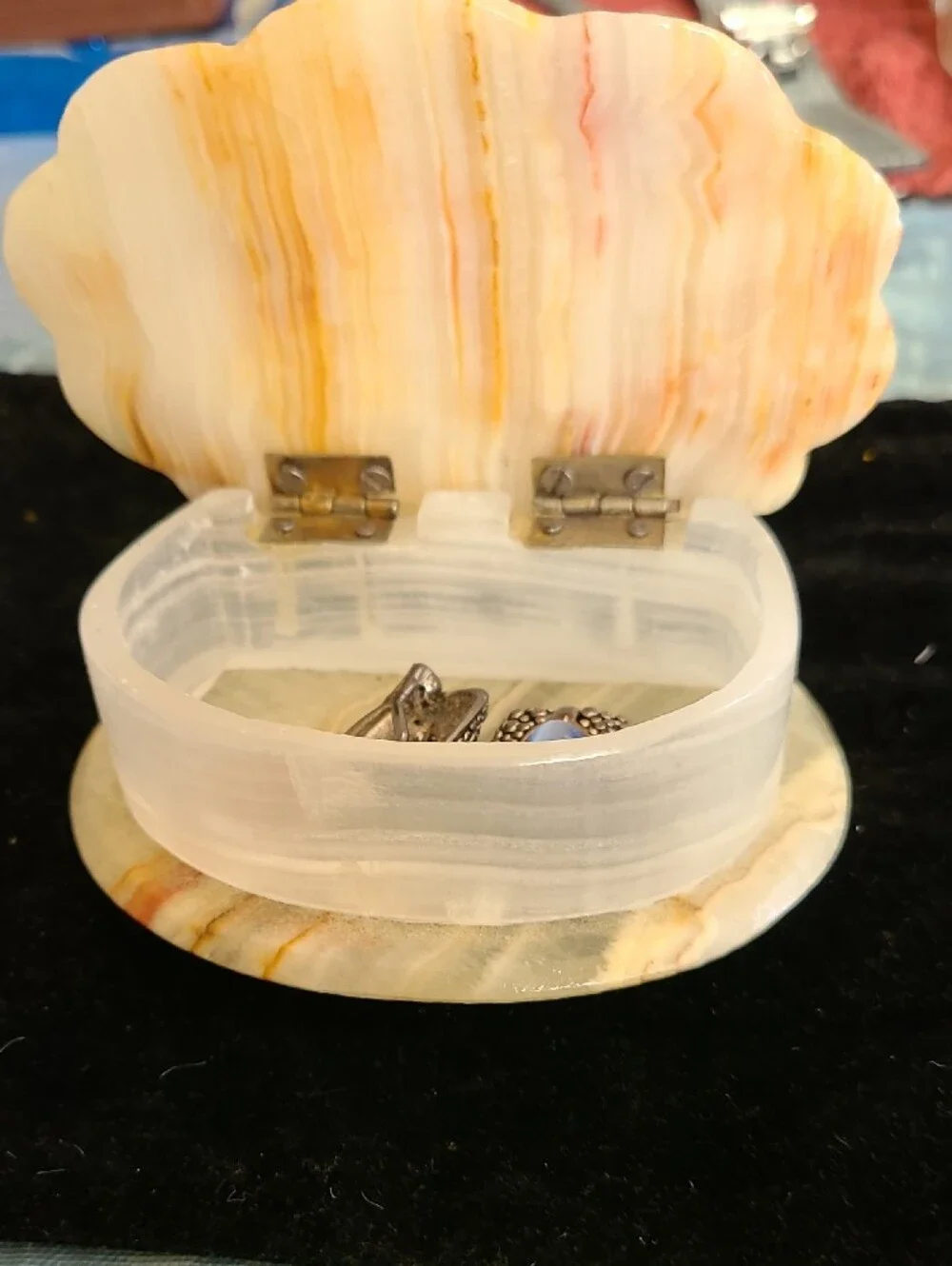 N/A polished shell