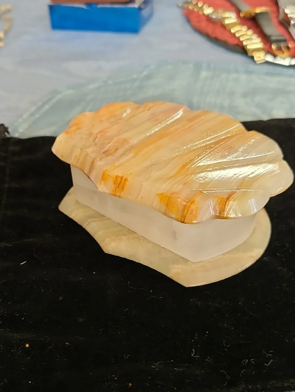 N/A polished shell