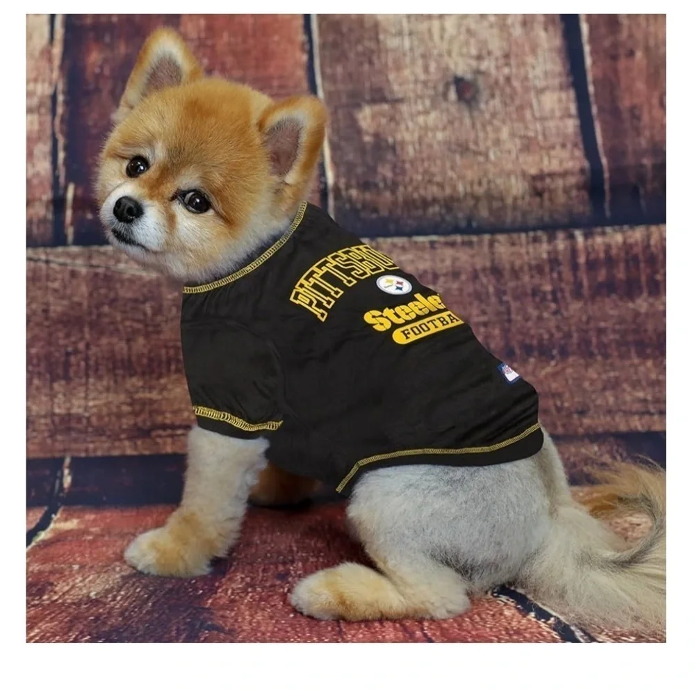 NFL pittsburg steelers