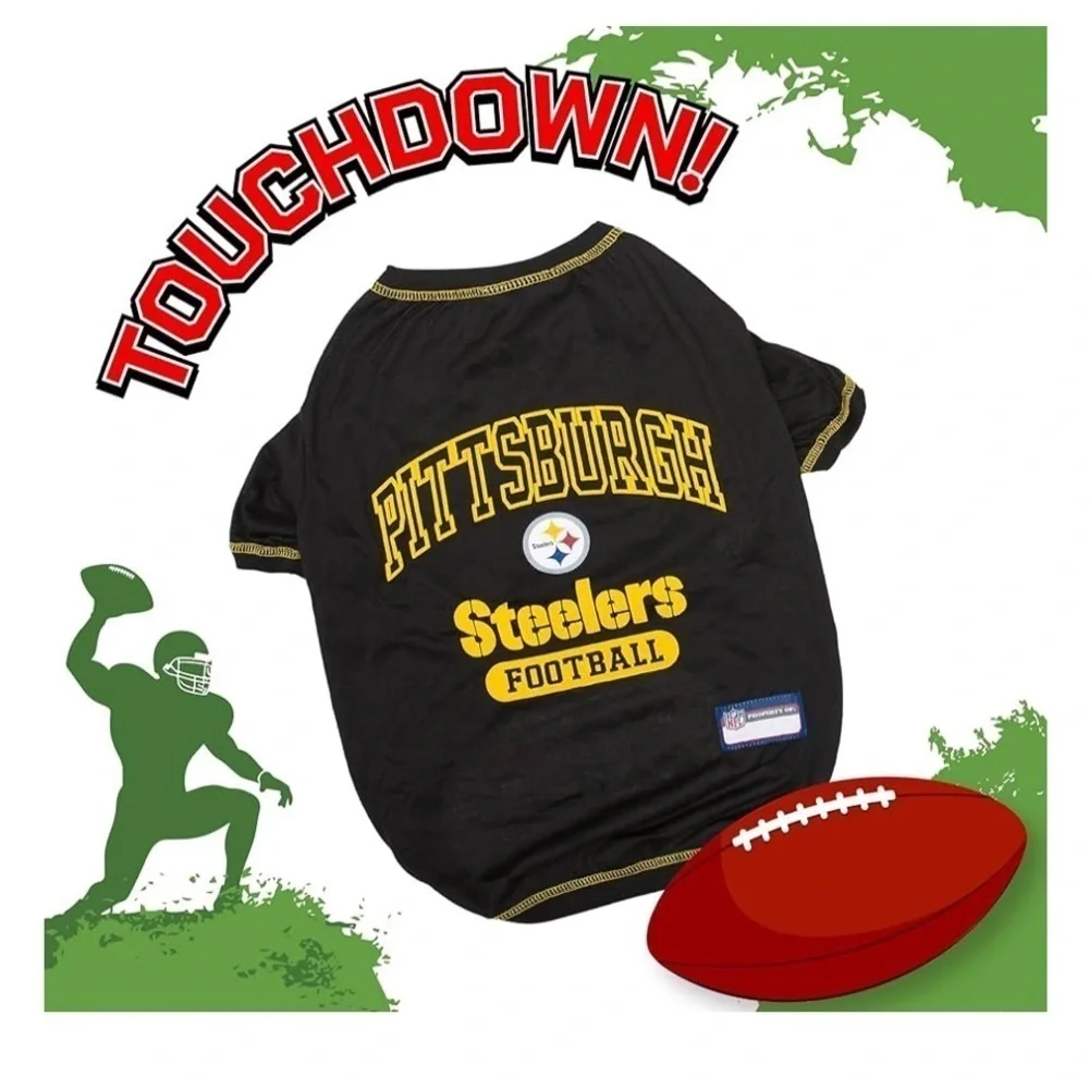 NFL pittsburg steelers
