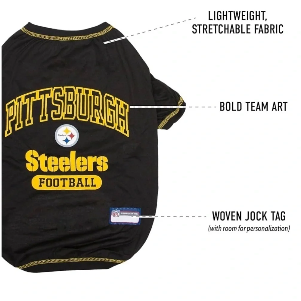 NFL pittsburg steelers