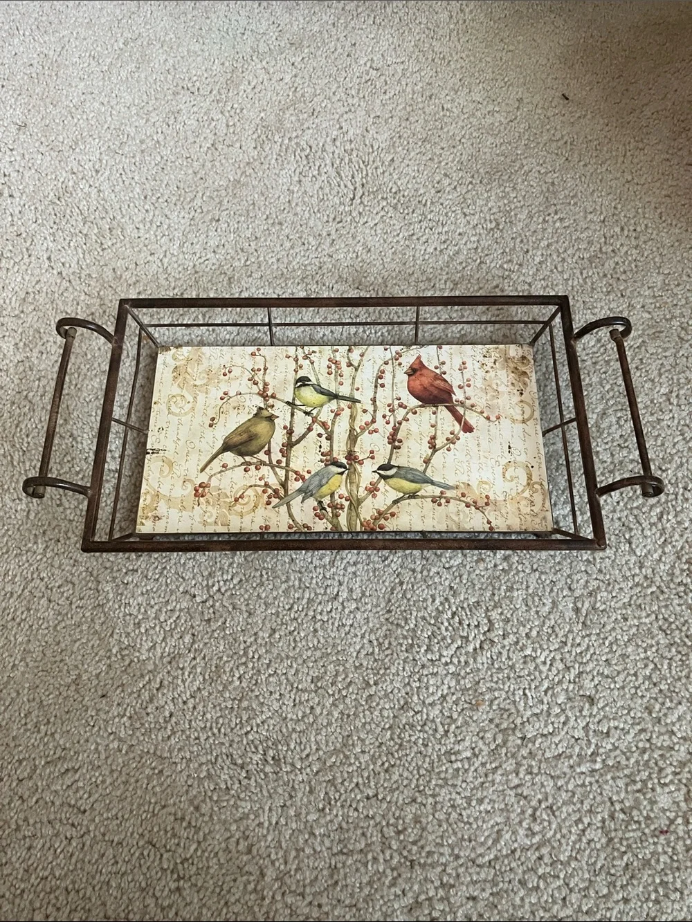 Tim Coffey Birds On Fruit Tree Tin Serving Tray Wall Decoration w/ Handles