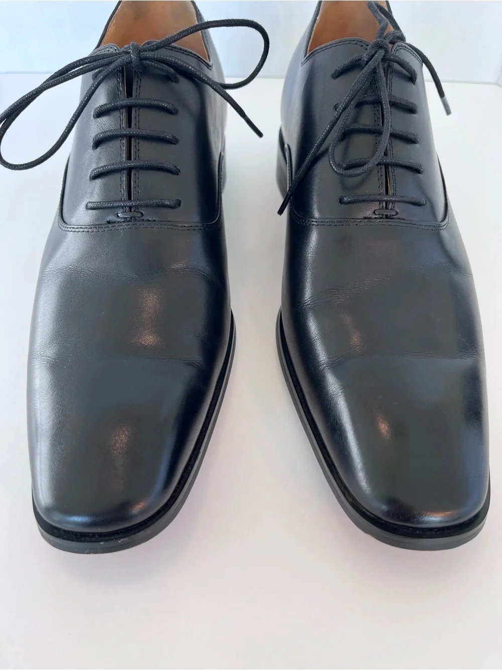 Chamaripa classic black