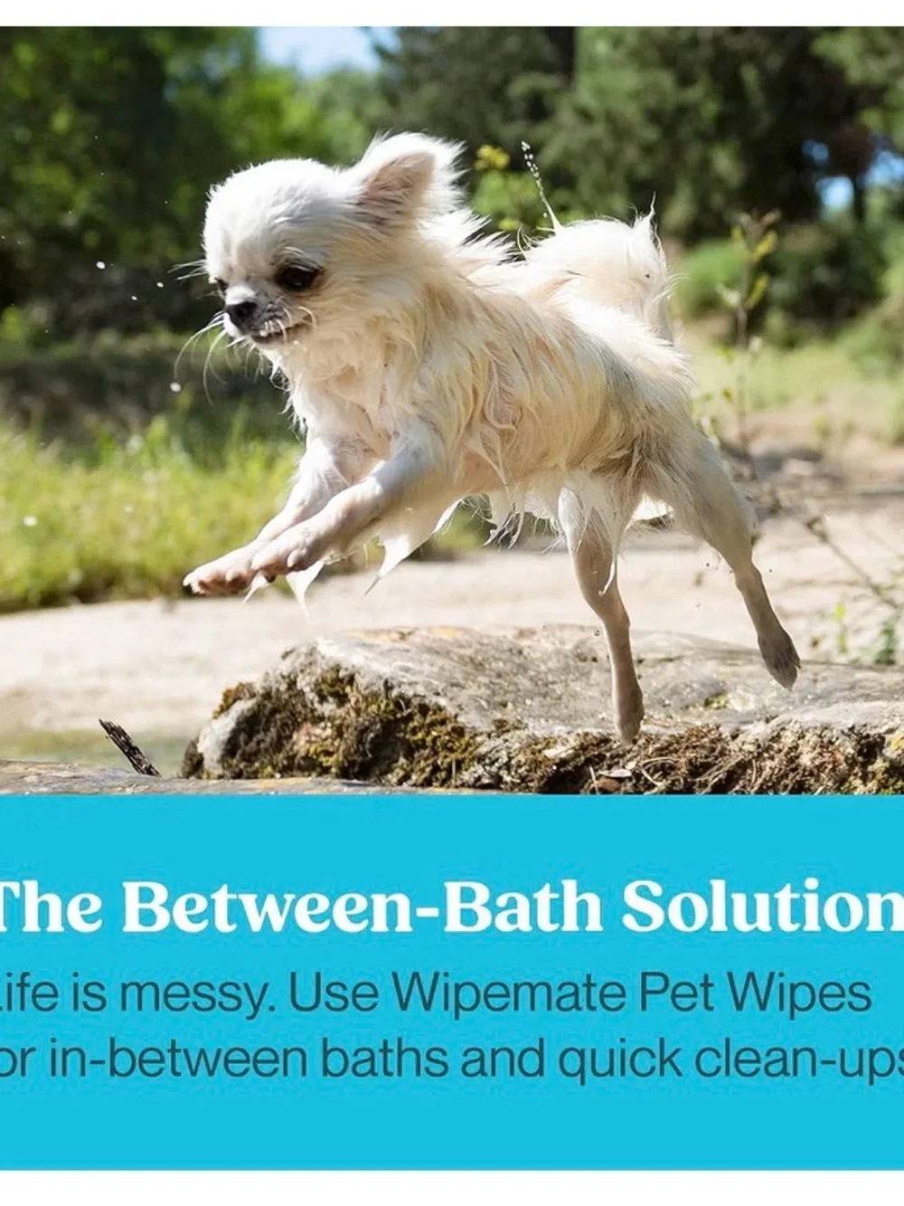 N/A wipemate pet