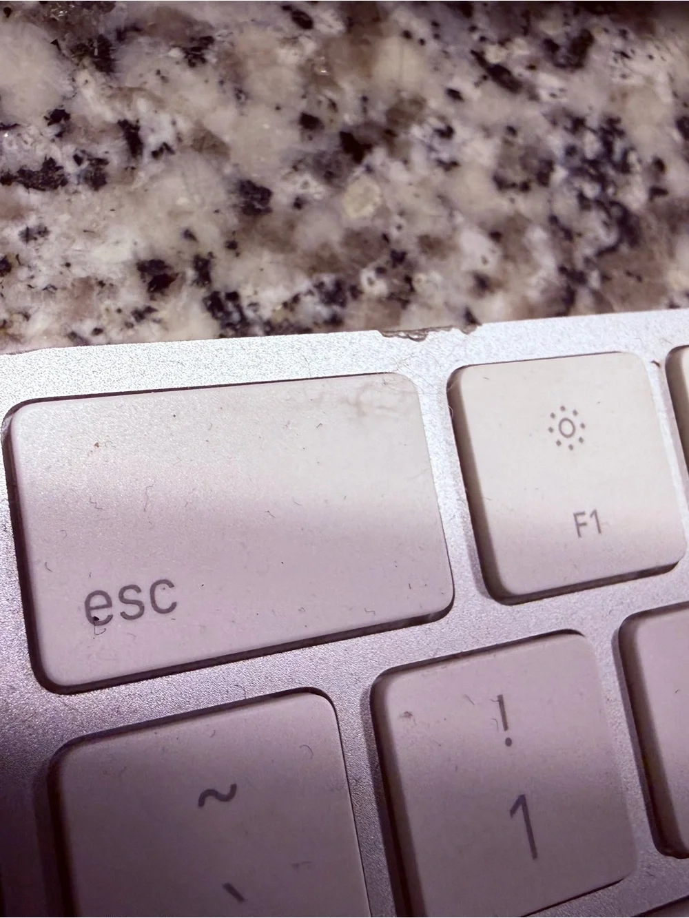 Apple comes crisp performance