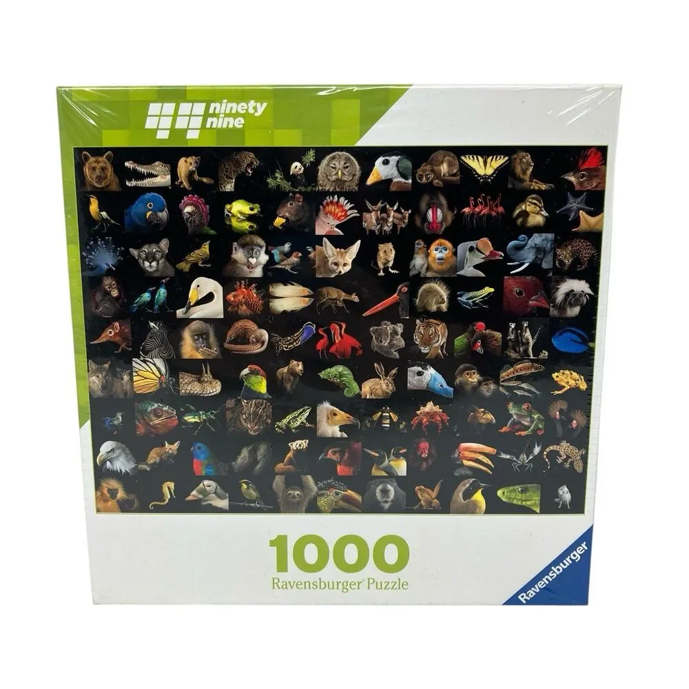 Ravensburger engaging indoor