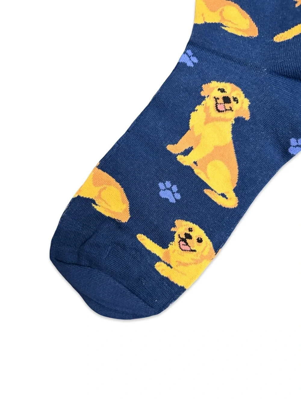 Unknown golden retriever
