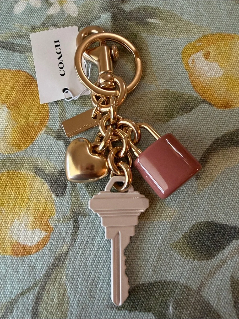 Coach 🔑🩷🔑 branded