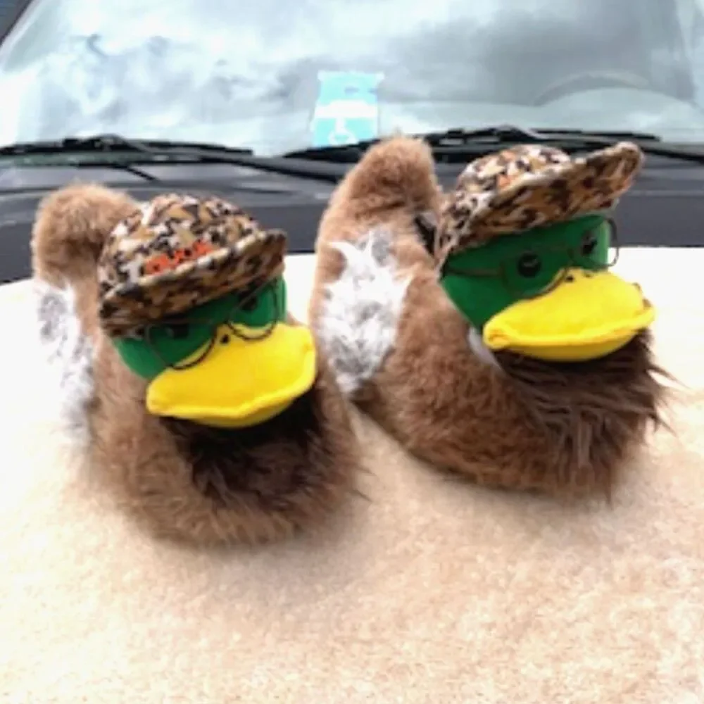 N/A ** duck