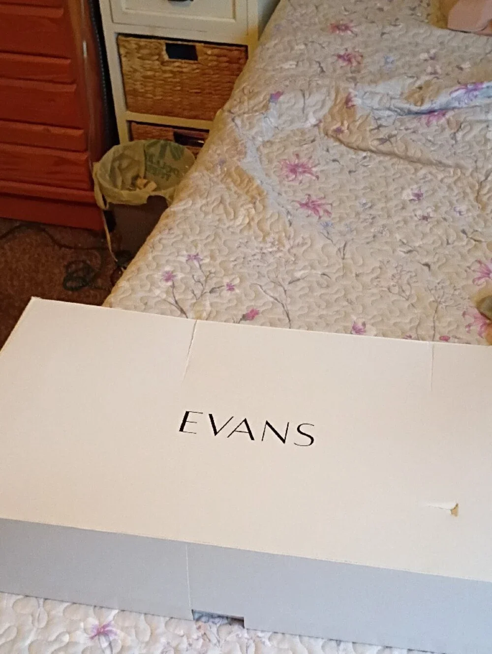 Evans stylish black