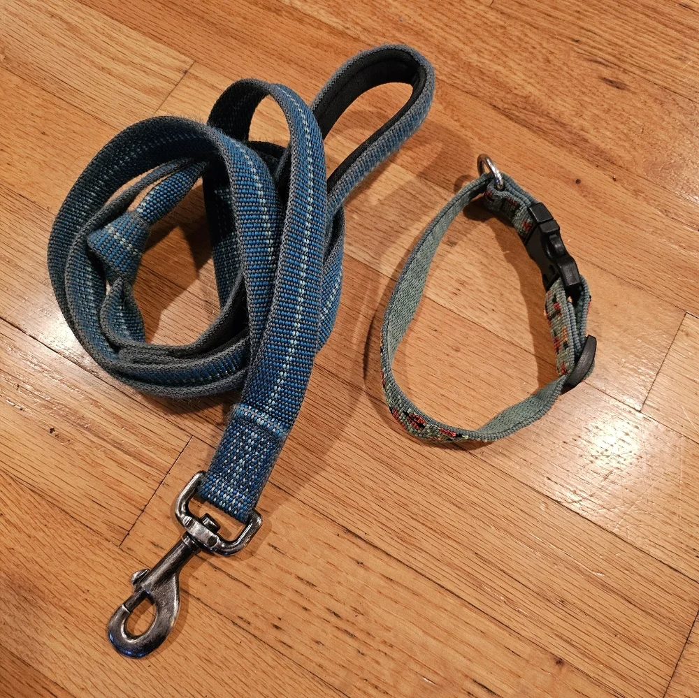 Heavy duty dog leash and ladybug collar