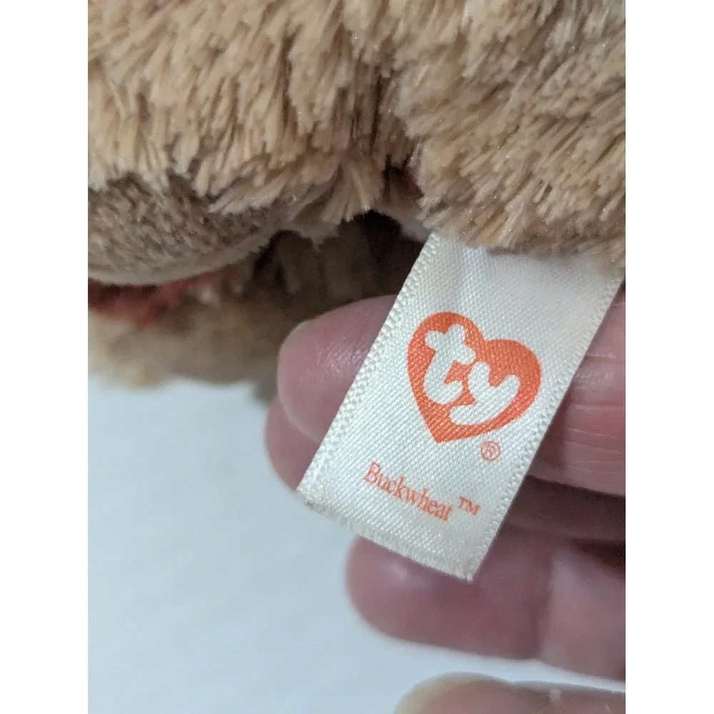 Ty beanie boos