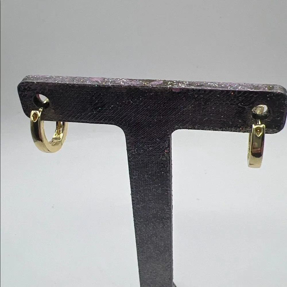 Gold-Tone Over Stainless Steel Pavé Hoop Earrings - Women Jewelry