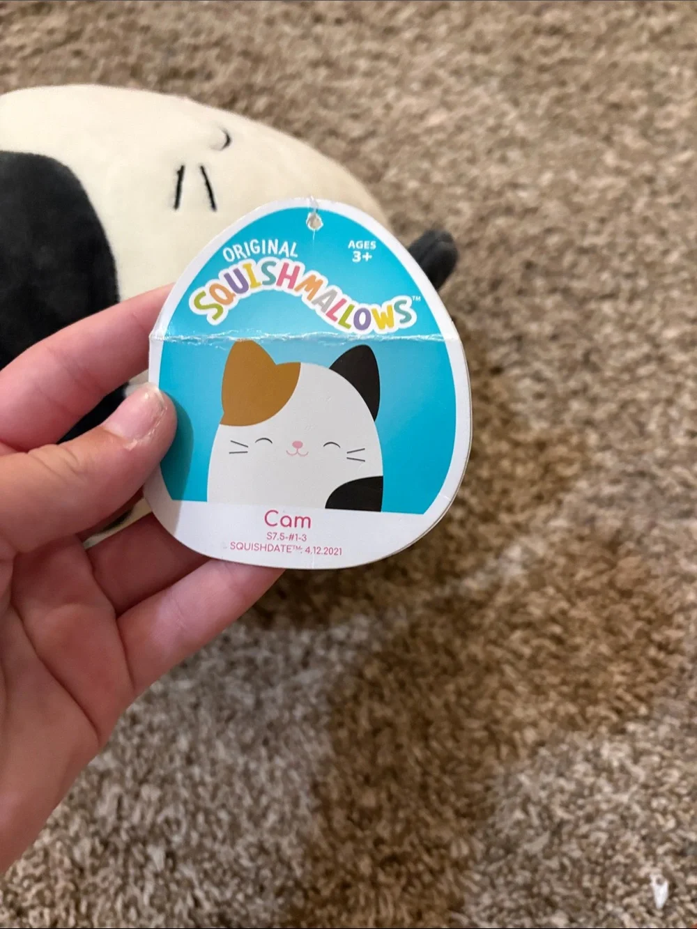 Squishmallows cute calico