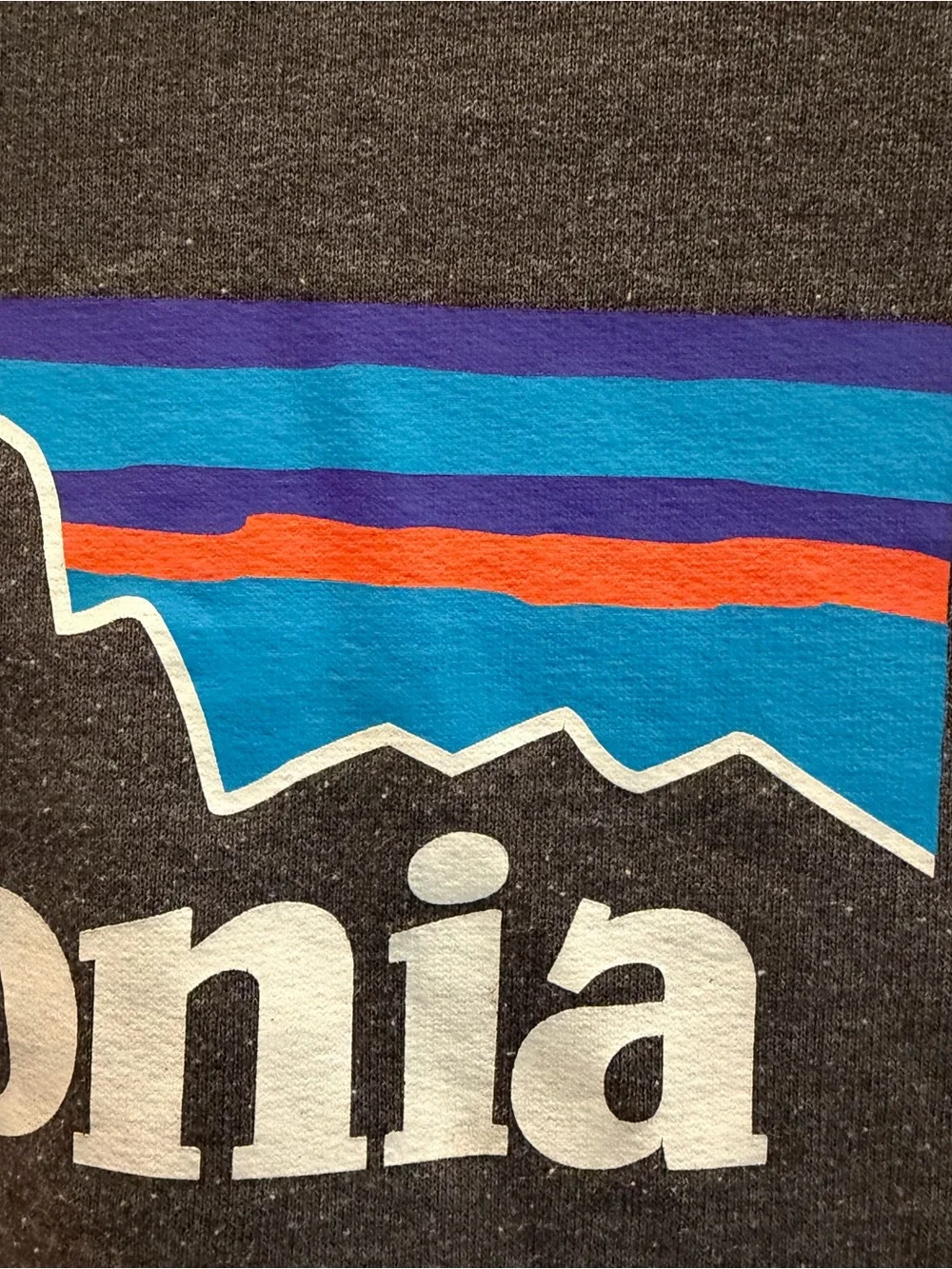 Patagonia men zip