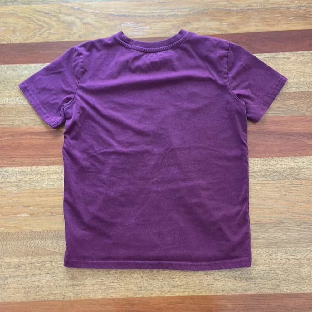 Champion Authentic Athleticwear Tee Shirt