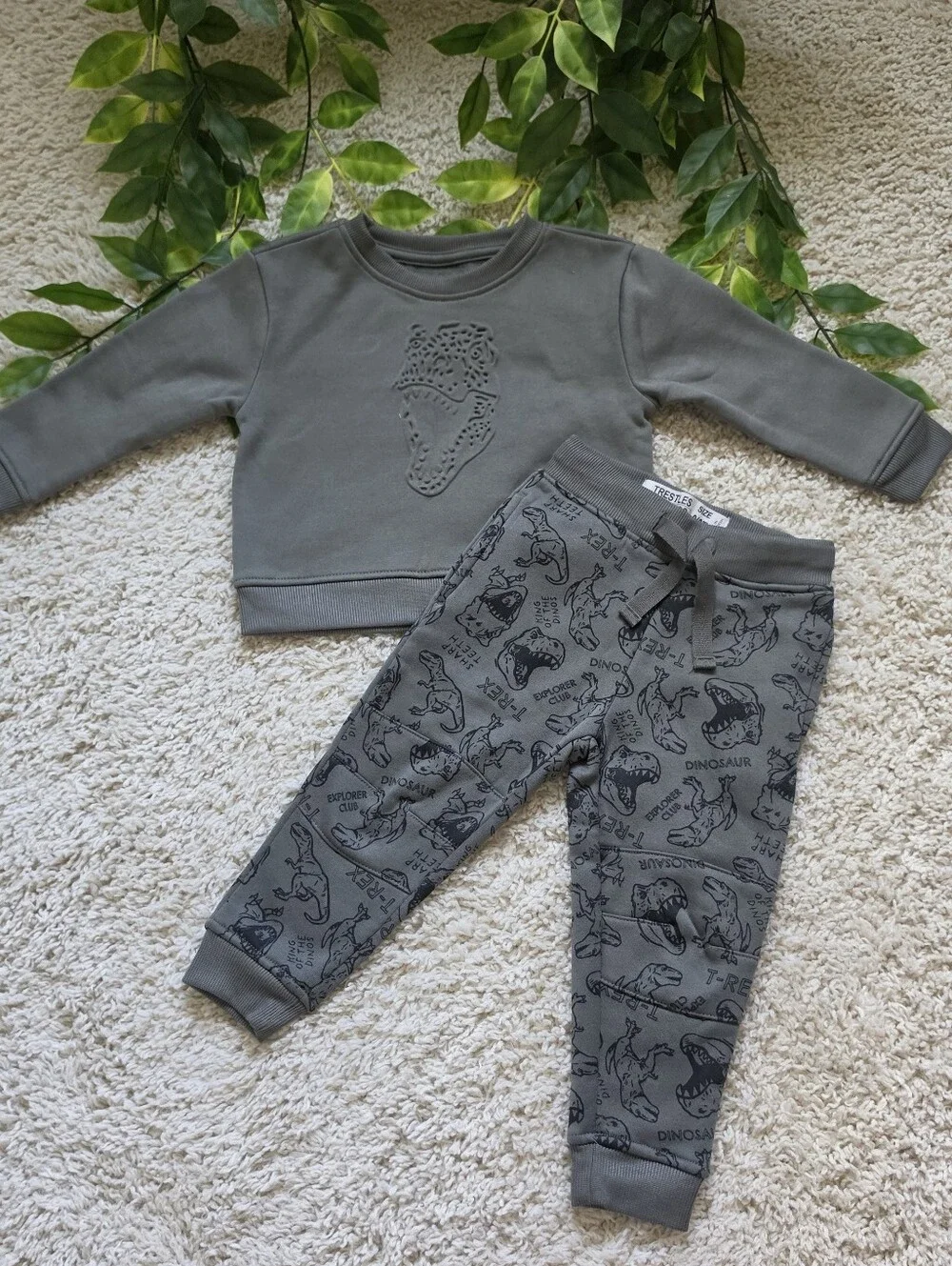 Toddler Boy Dinosaur Outfit (2T)