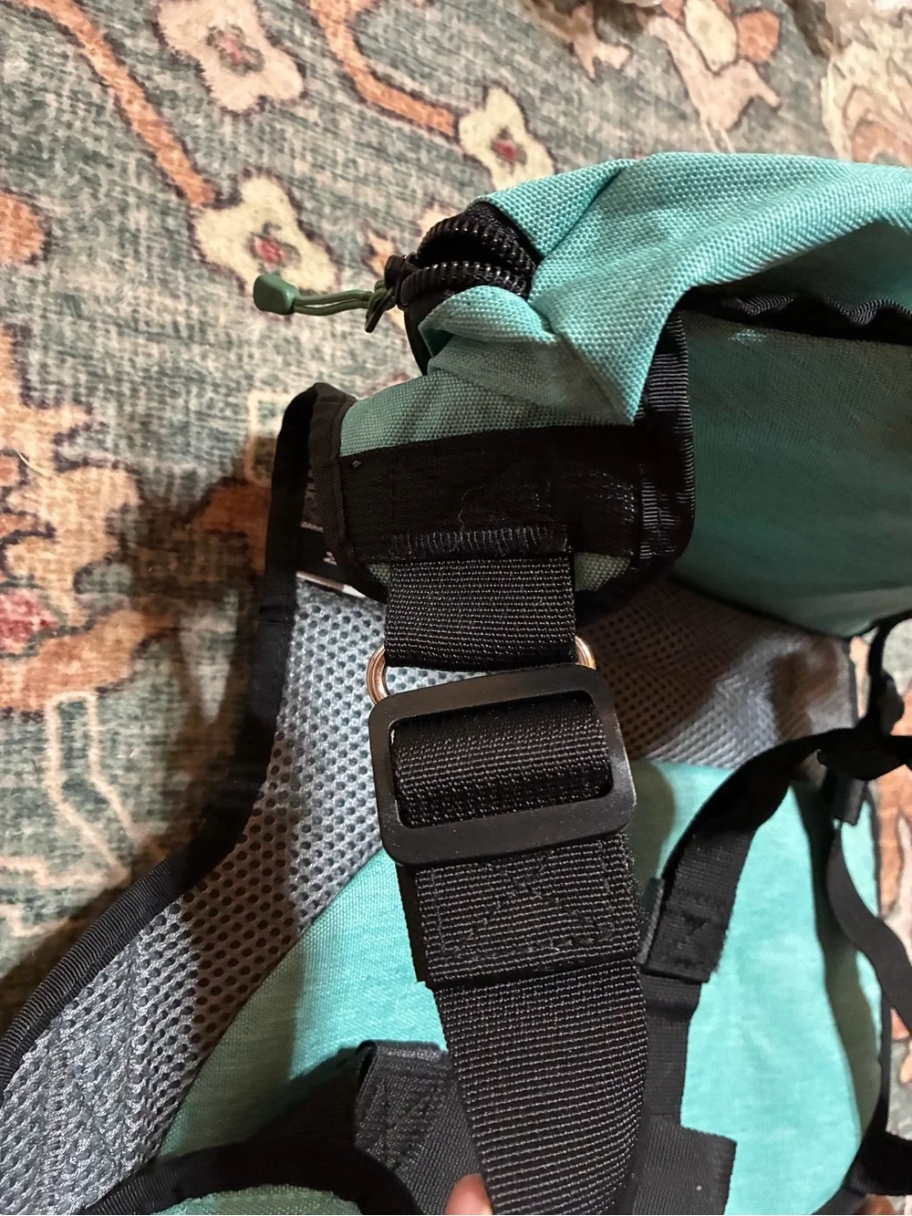 Wilderdog handle teal walks