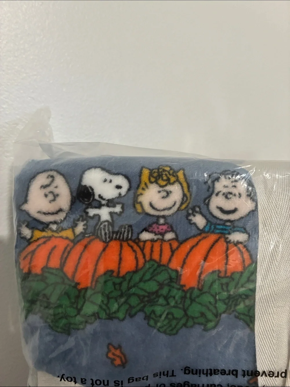 Peanuts velvetsoft throw