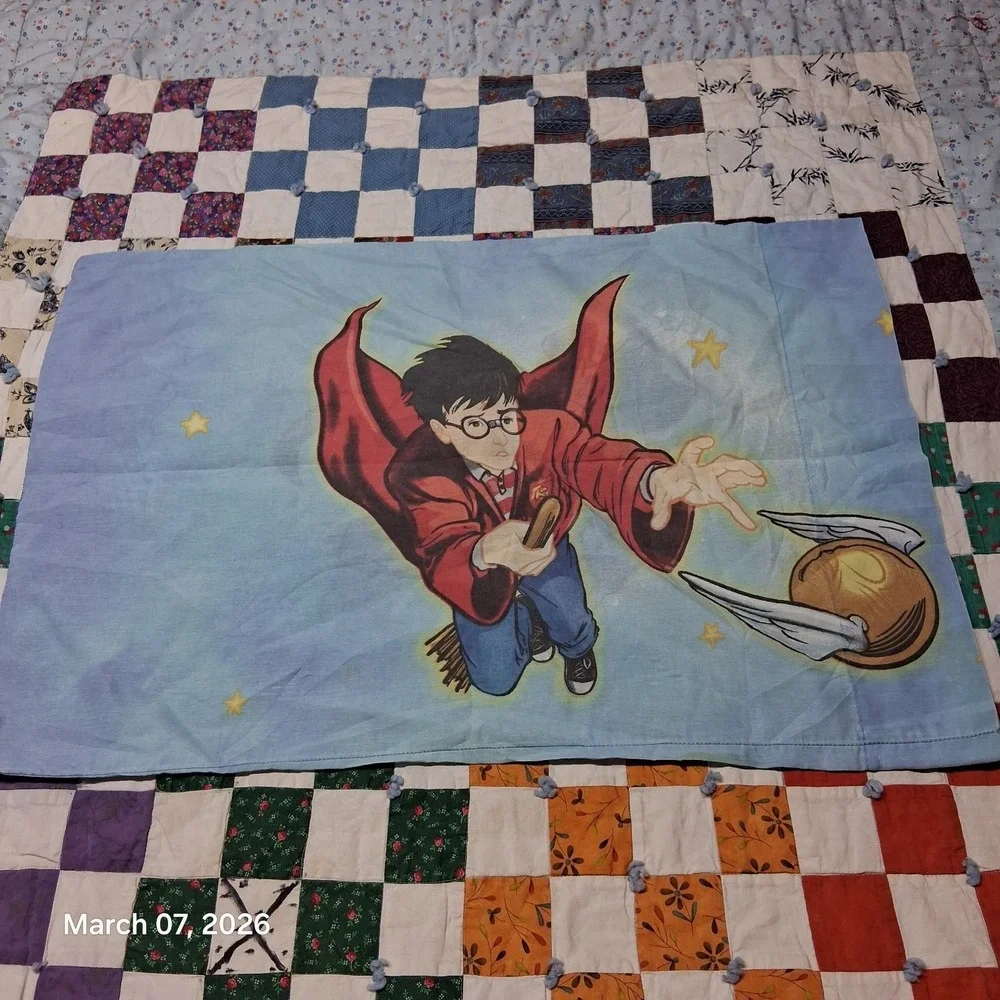 Vintage Harry Potter and The Golden Snitch Quidditch ‎ Pillow Case Book Series