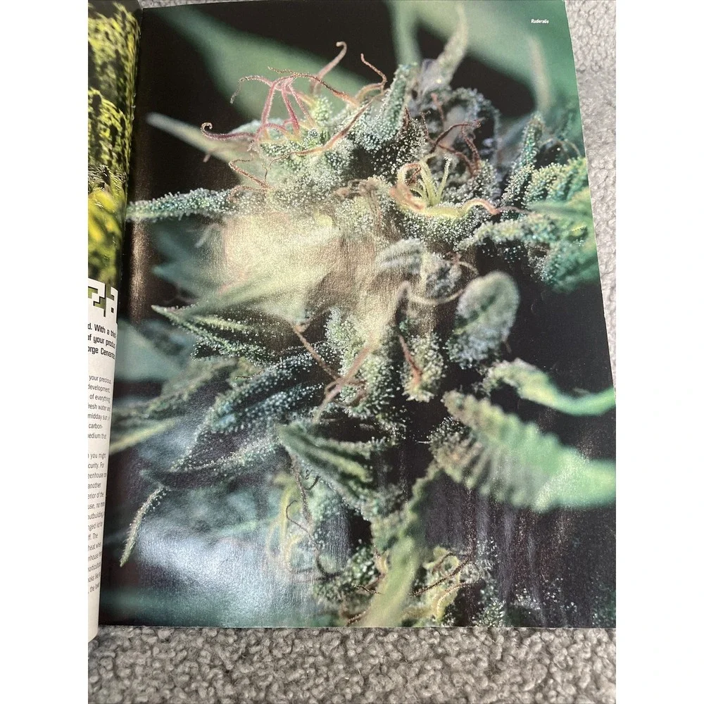 N/A high times