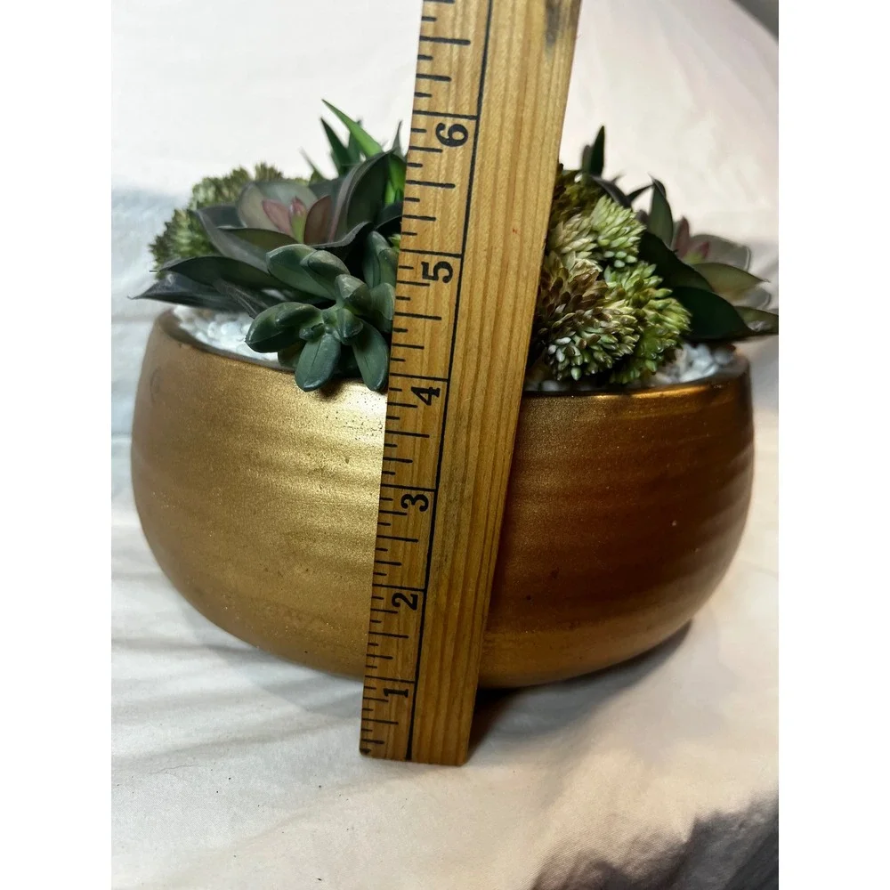 Unbranded faux succulent
