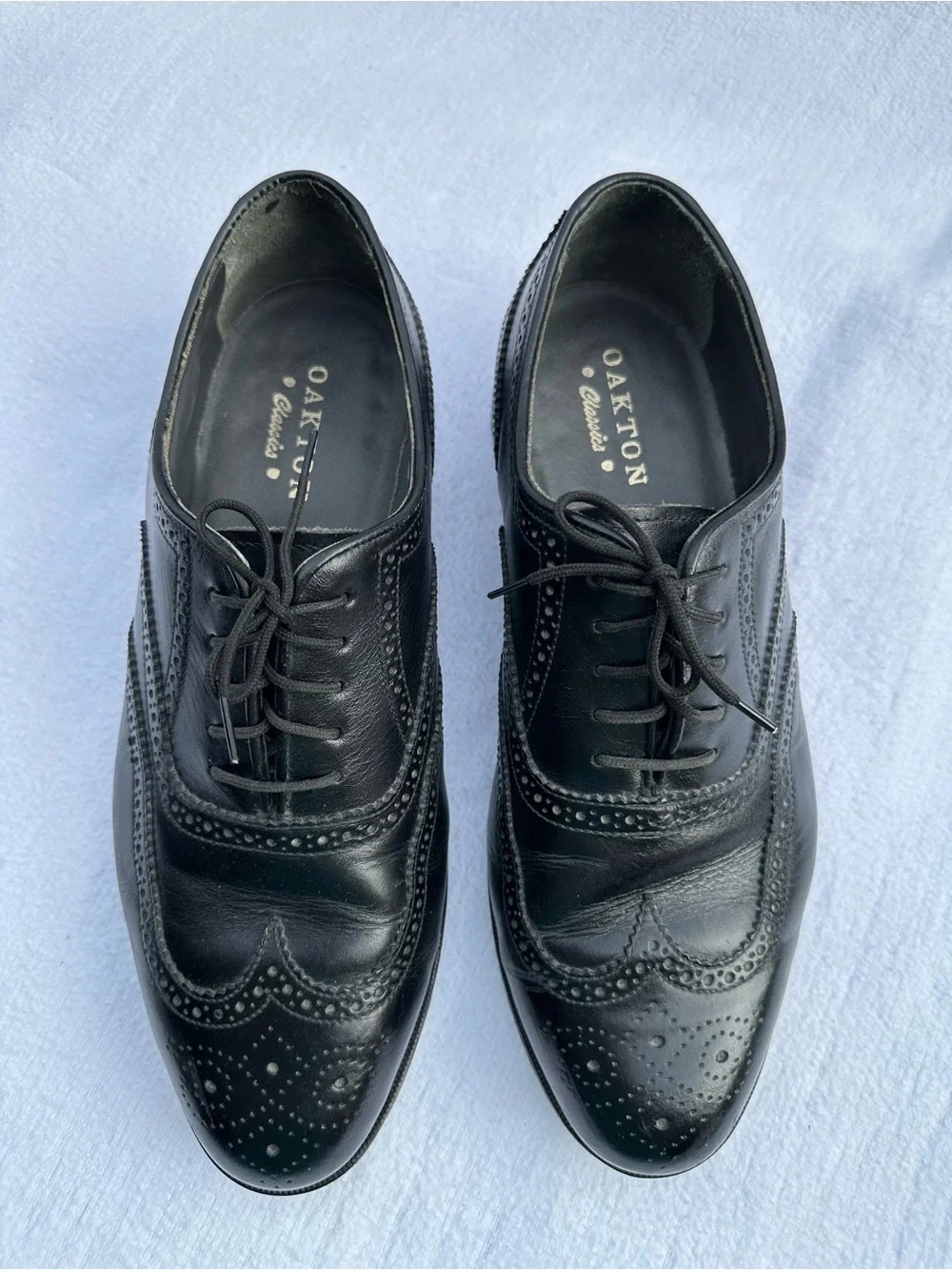 Oakton classics black