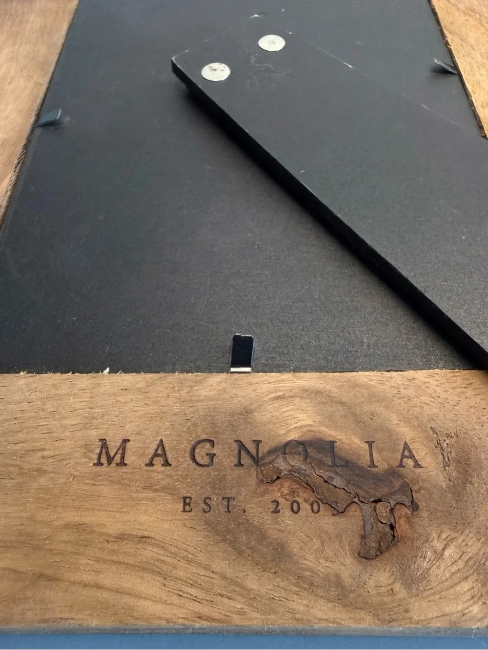Magnolia bring warm