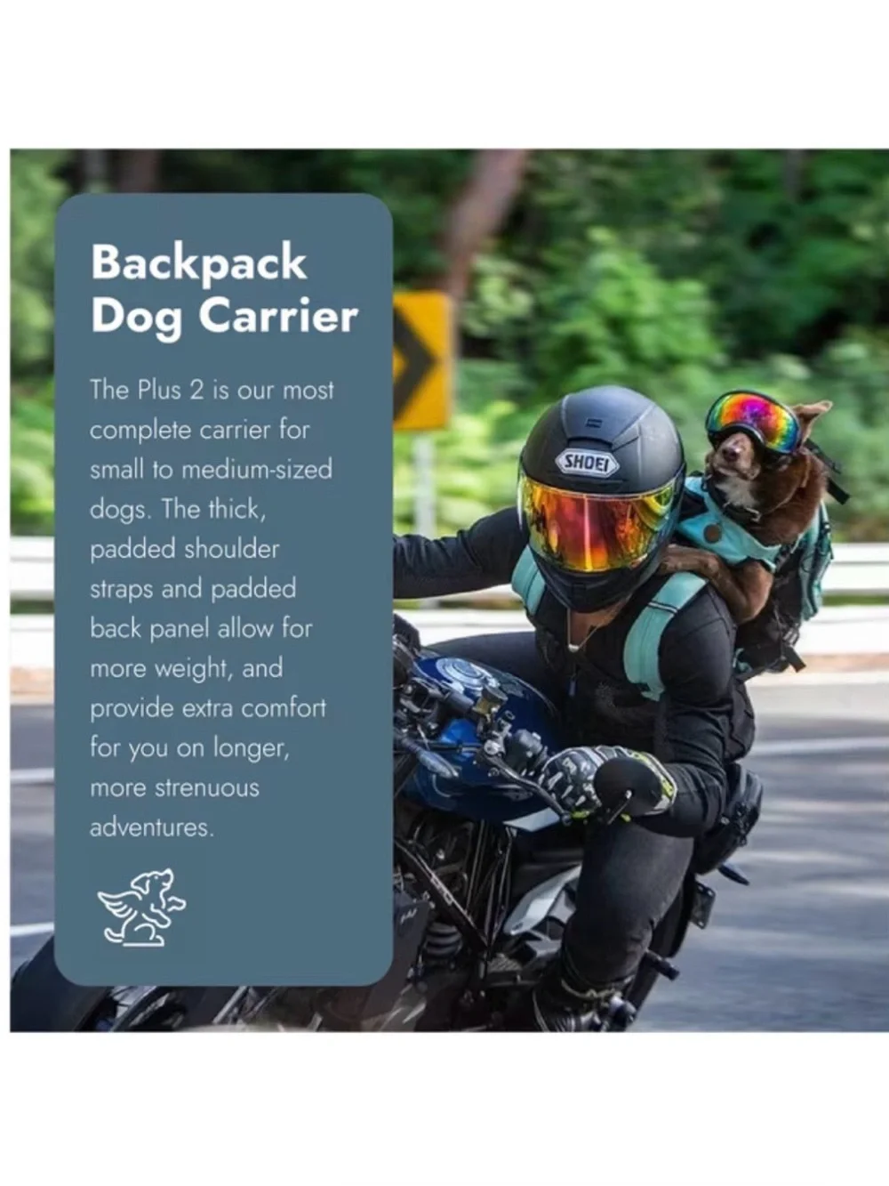 K9 Sport Sack k9 sport