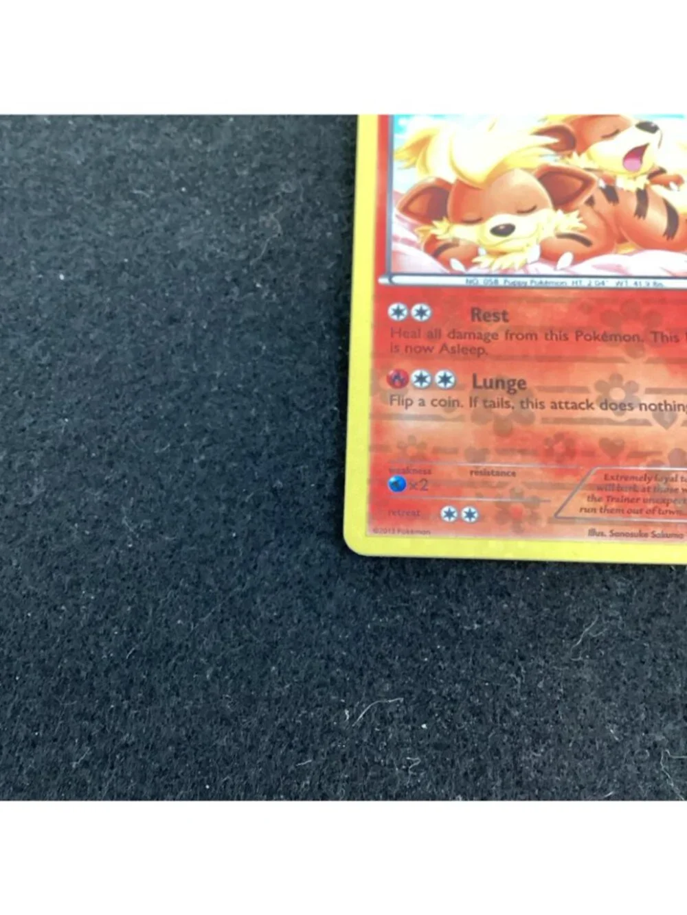 Growlithe RC4/RC25 Legendary Treasures: Radiant Collection Pokemon TCG Holo Rare