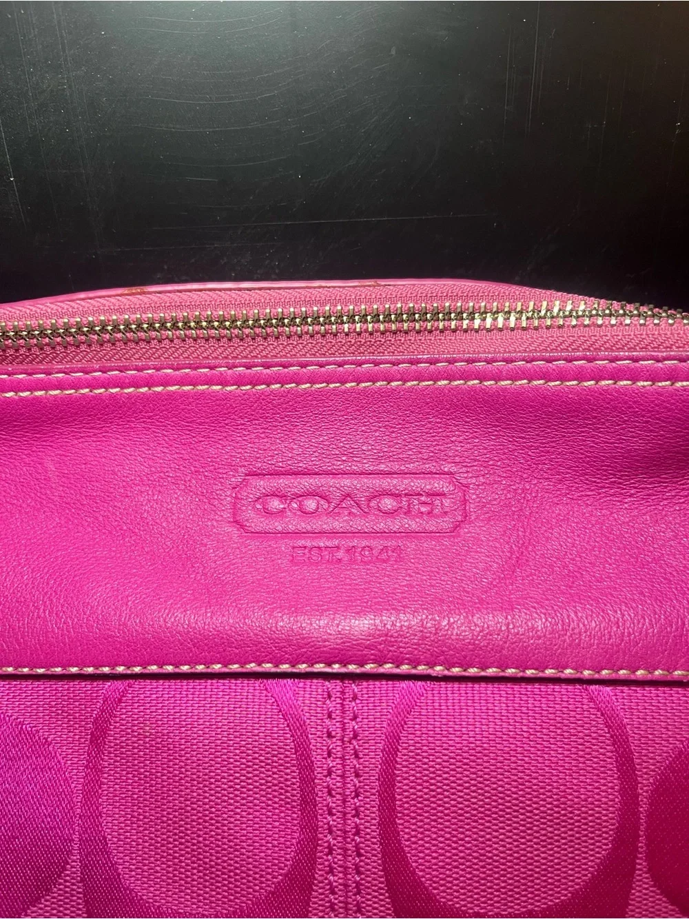 Coach hobo bold