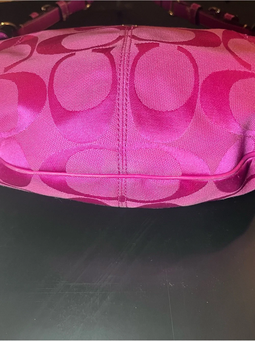 Coach hobo bold