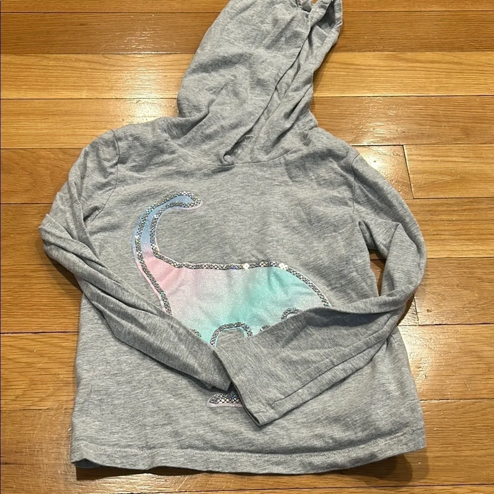 Gray Hoodie with Dinosaur Design