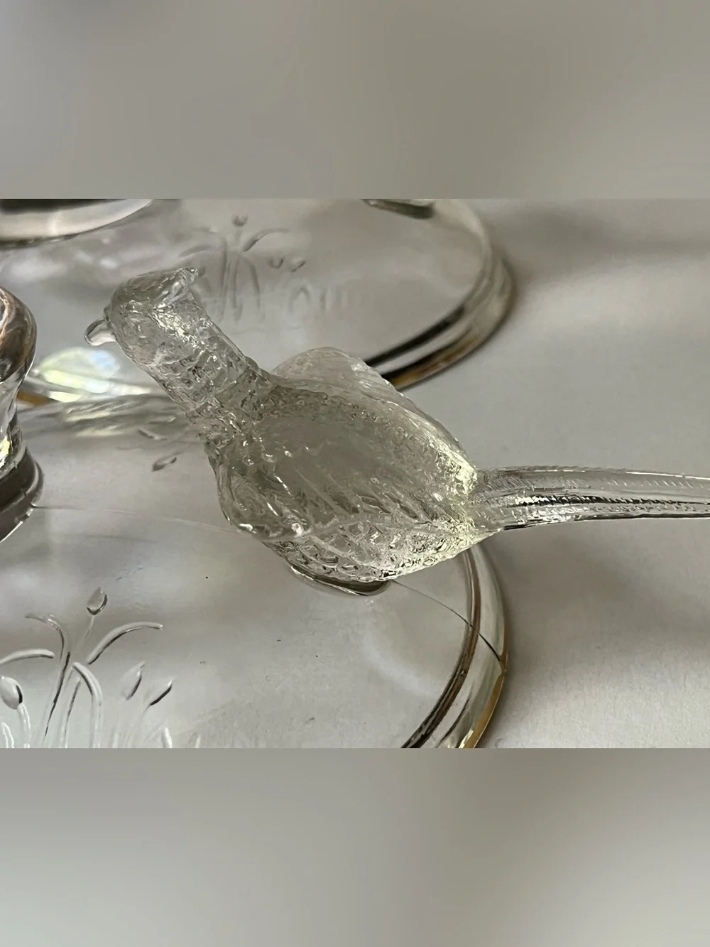 Jeanette glass￼ pair clear