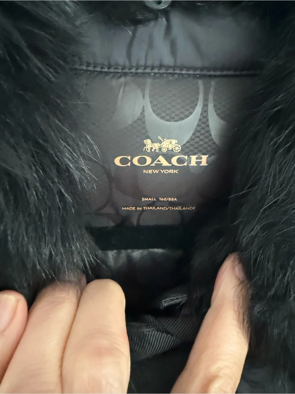 Coach sleek black
