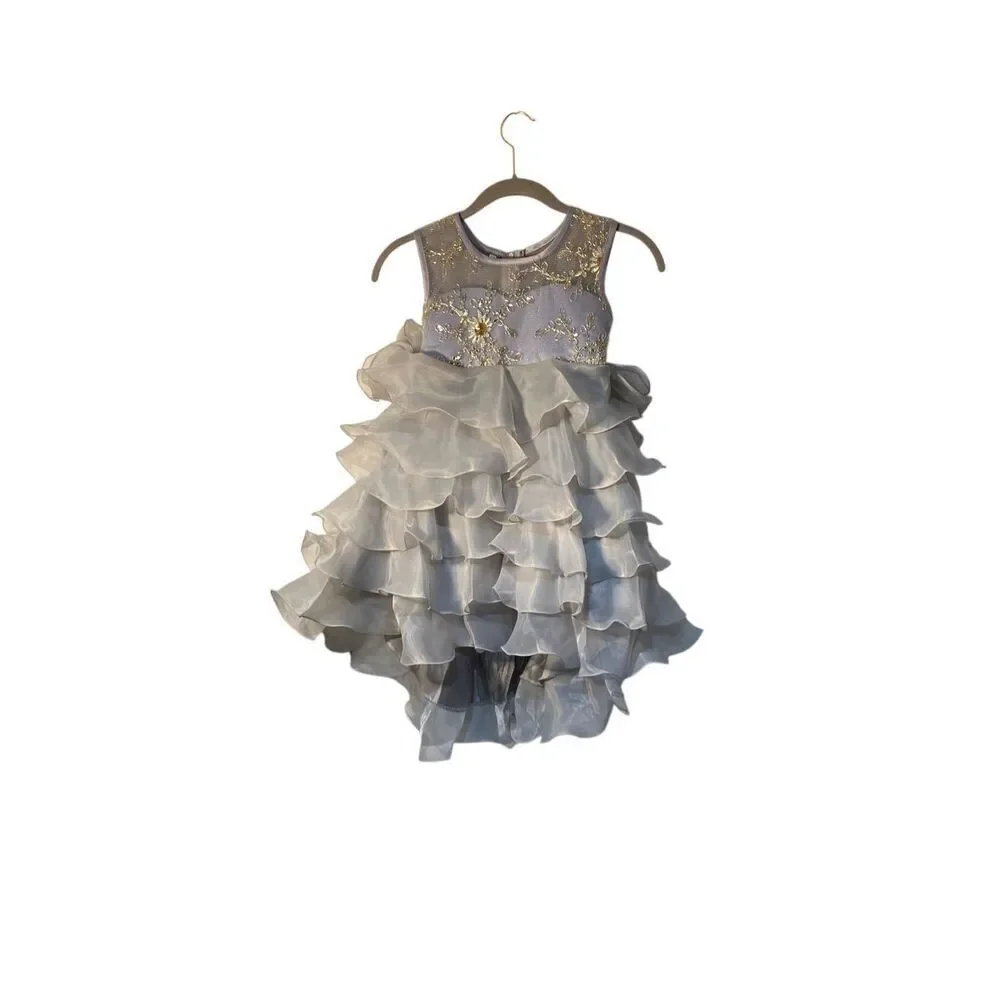 NWOT girls unbranded little princess, gray short sleeve dress with train size 4
