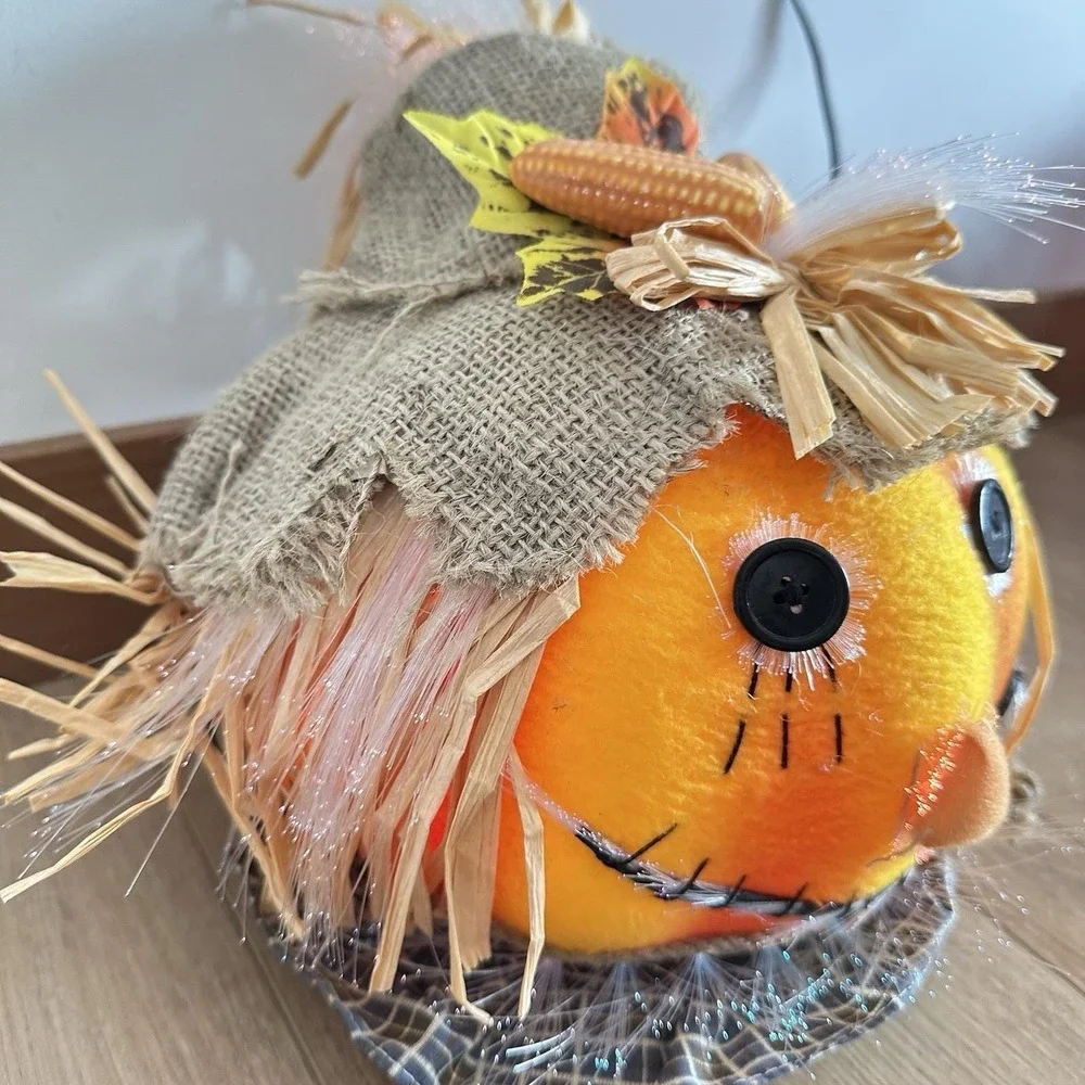 N/A vtg pumpkin