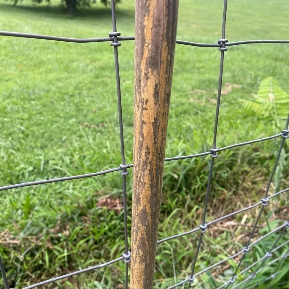 Antique great weathered